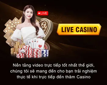 CMO của n bet
